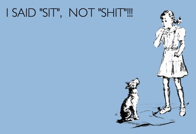 Don't mispronounce sit and shit
